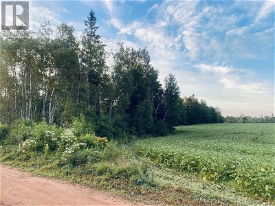 Image #1 of Commercial for Sale at Lot Seven Mile Road|route 4, Cardross, Prince Edward Island