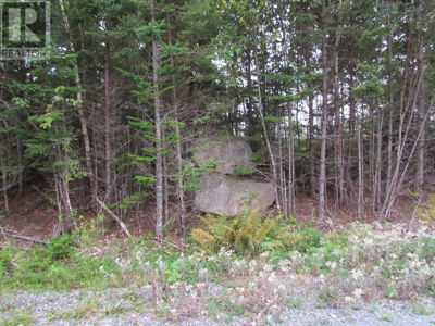 Commercial for Sale in Nova-scotia