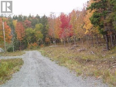 Image #1 of Commercial for Sale at Lot 7 Macleod Pond Road, Roberta, Nova Scotia