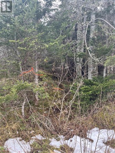 Image #1 of Commercial for Sale at 0 Clam Harbour Road, Owls Head Harbour, Nova Scotia