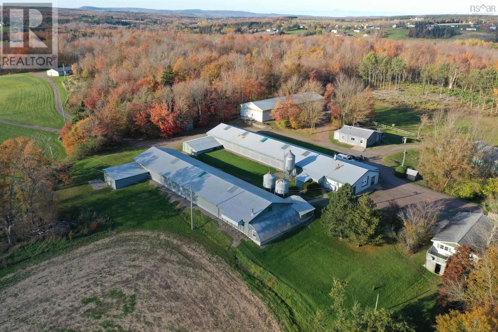 Primary Property View