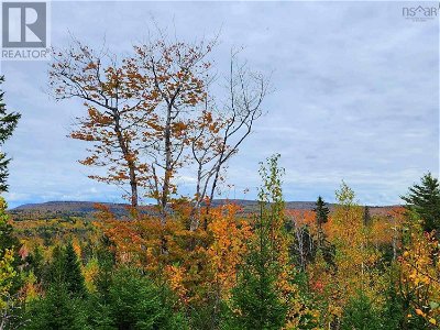 Image #1 of Commercial for Sale at Lot 3b Highway 4, Telford, Nova Scotia
