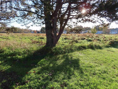 Commercial for Sale in Canada
