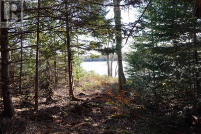 Commercial for Sale in Nova-scotia