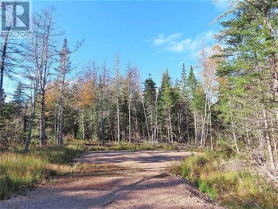 Image #1 of Commercial for Sale at Lot 8 Lower River Road|highway #4, Cleveland, Nova Scotia