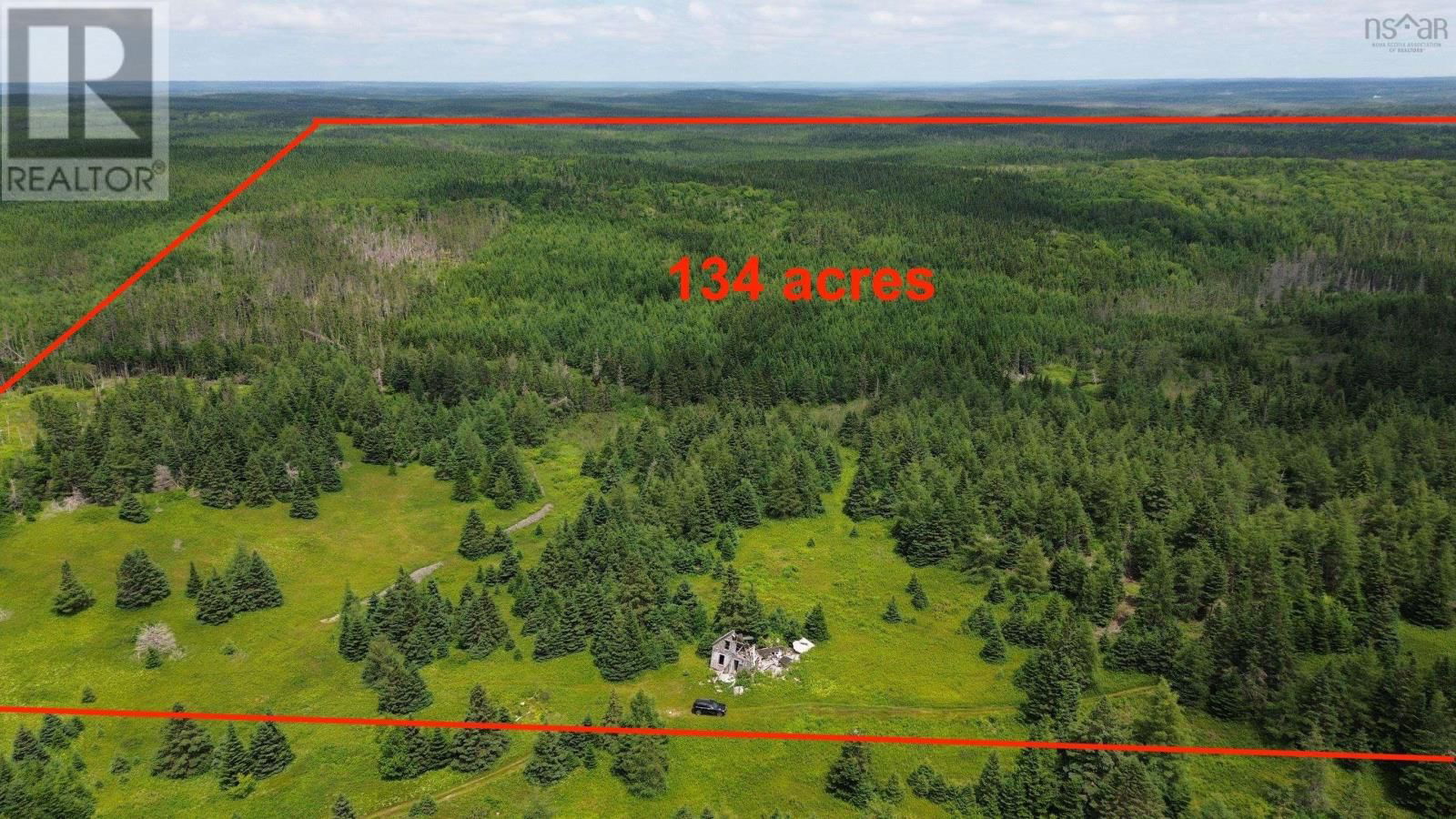 Primary Property View
