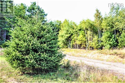 Commercial for Sale in Nova-scotia