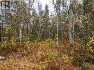 Commercial for Sale in Nova-scotia