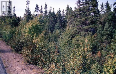 Commercial for Sale in Nova-scotia