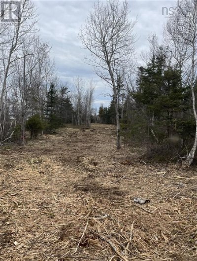 Image #1 of Commercial for Sale at Lot 4 Shore Road, Lower Barneys River, Nova Scotia