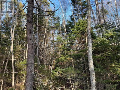 Commercial for Sale in Nova-scotia