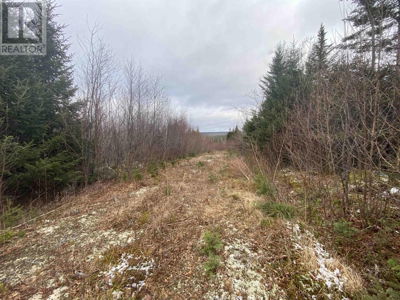 Commercial for Sale in Nova-scotia