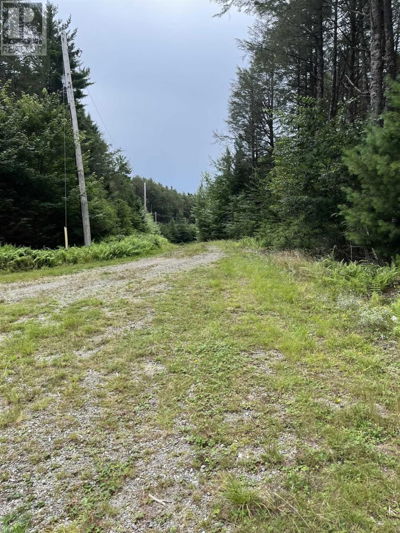 Commercial for Sale in Nova-scotia