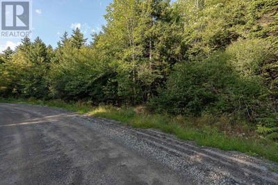 Commercial for Sale in Nova-scotia