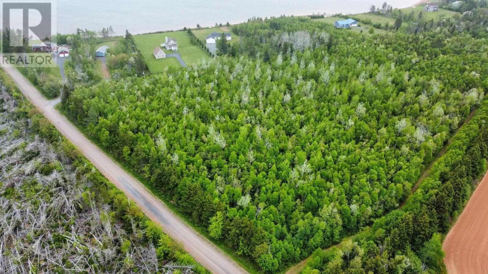 Primary Property View