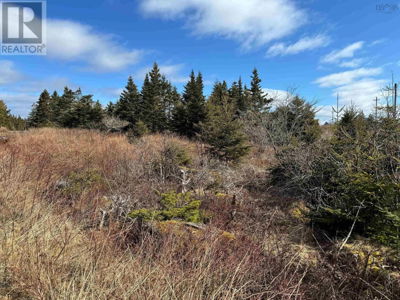 Commercial for Sale in Nova-scotia