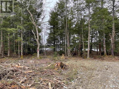 Commercial for Sale in Nova-scotia