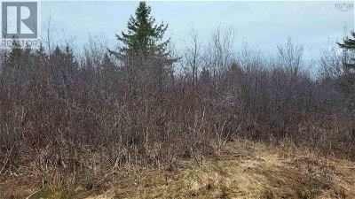 Image #1 of Commercial for Sale at 19.5 Acres Old Pictou Road, Hodson, Nova Scotia