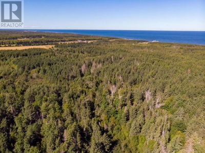 Commercial for Sale in Prince-edward-island