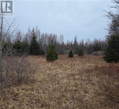 Image #1 of Commercial for Sale at Lot Rte 17, Gaspereau, Prince Edward Island