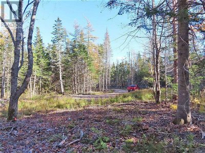 Image #1 of Commercial for Sale at Lot 8 #4 Highway (lower River Road) Road, Cleveland, Nova Scotia