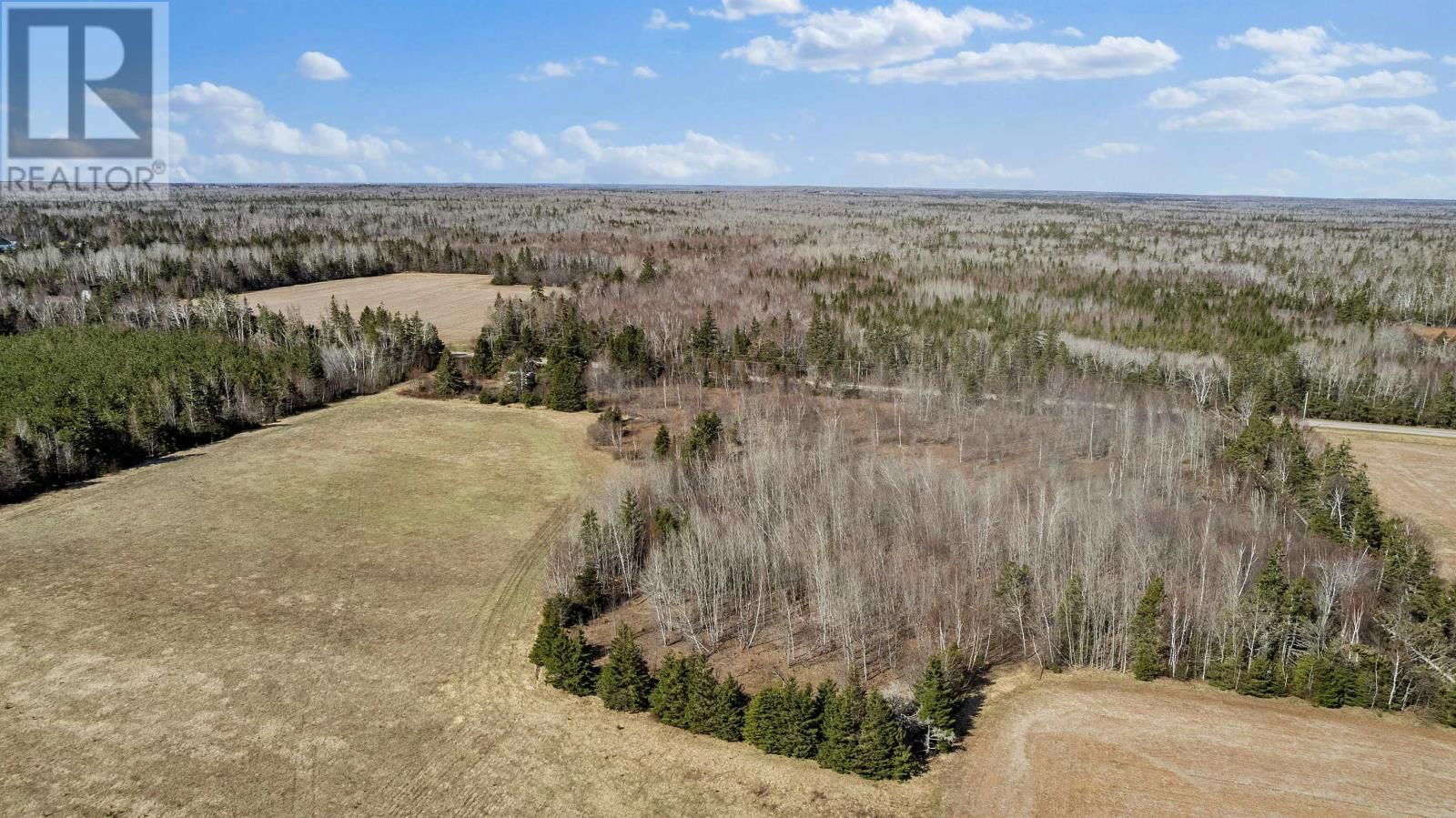 Primary Property View