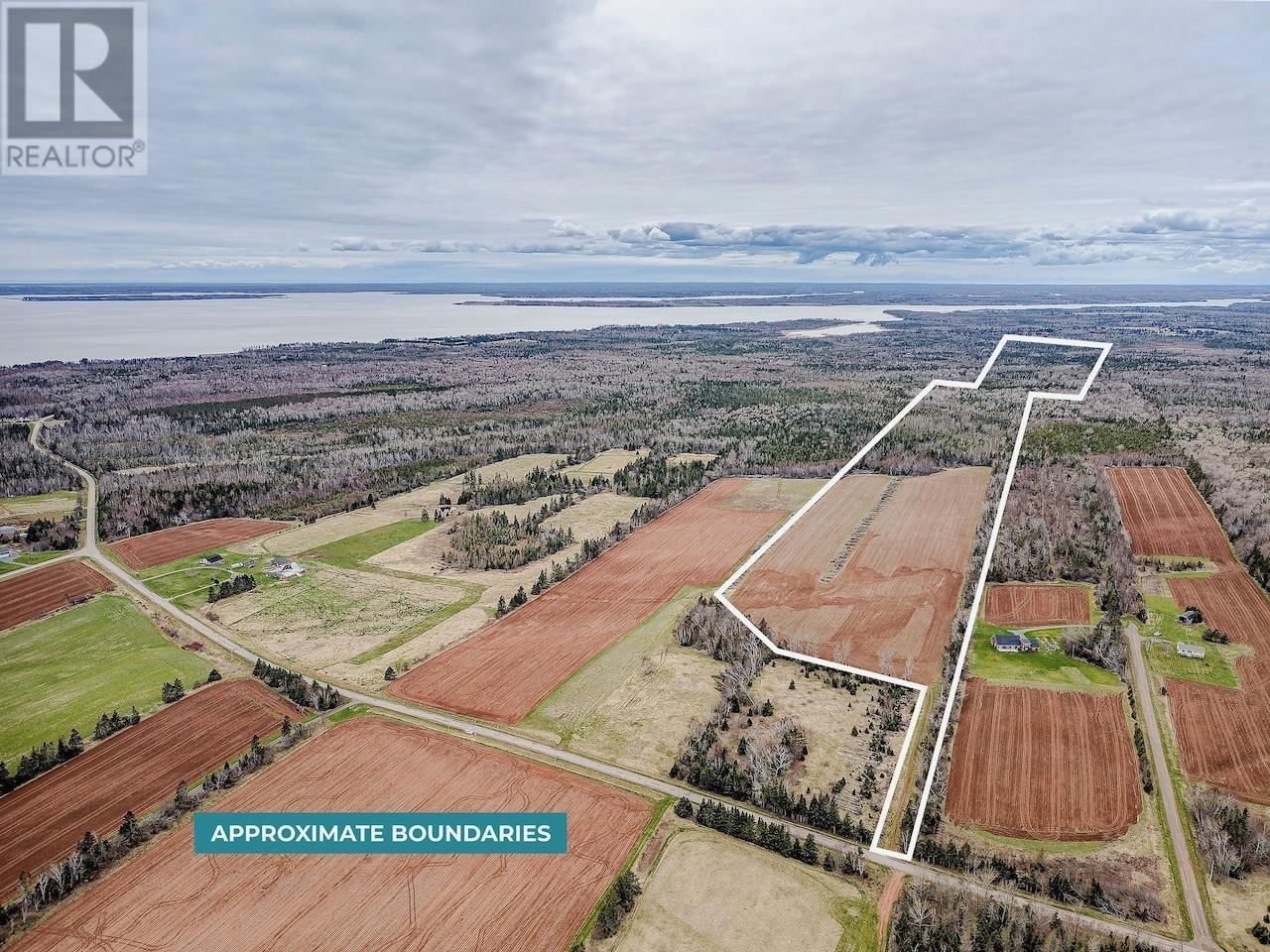 Primary Property View