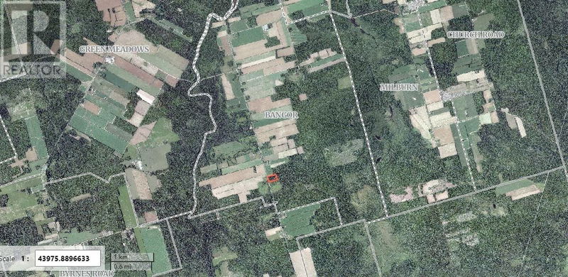 Tertiary Property View