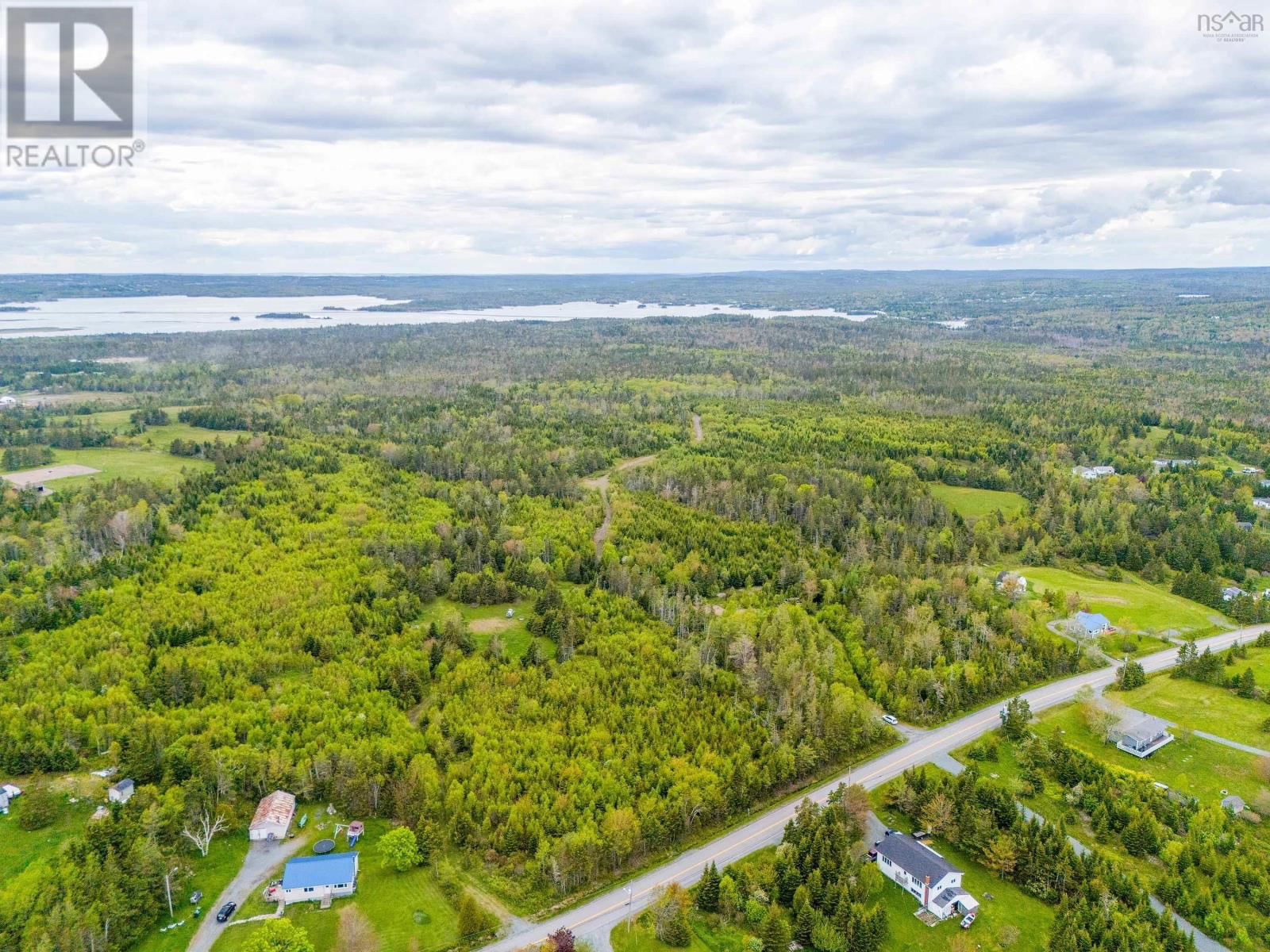 Primary Property View