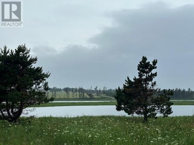 Tertiary Property View