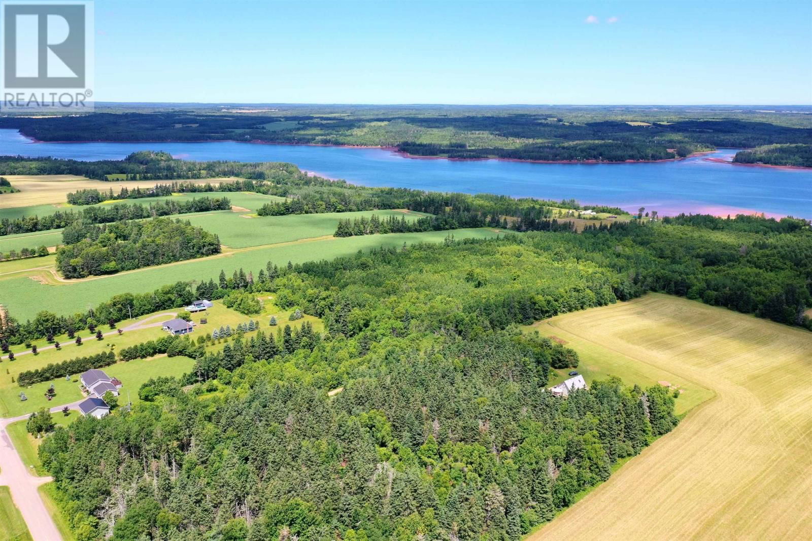 Primary Property View