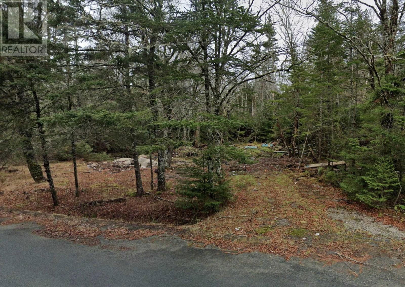 Primary Property View