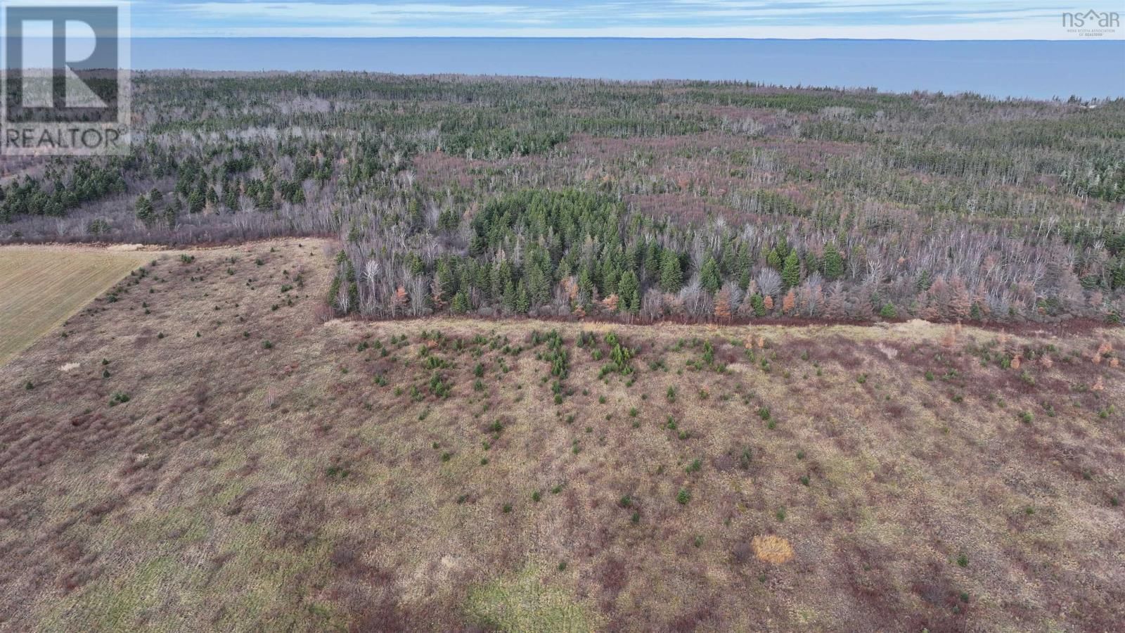 1659 FOX HARBOUR ROAD Image 10