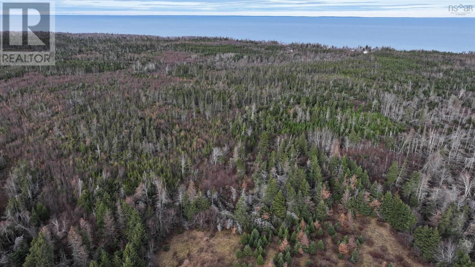 1659 FOX HARBOUR ROAD Image 12