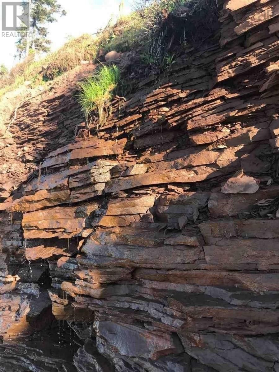 1659 FOX HARBOUR ROAD Image 15