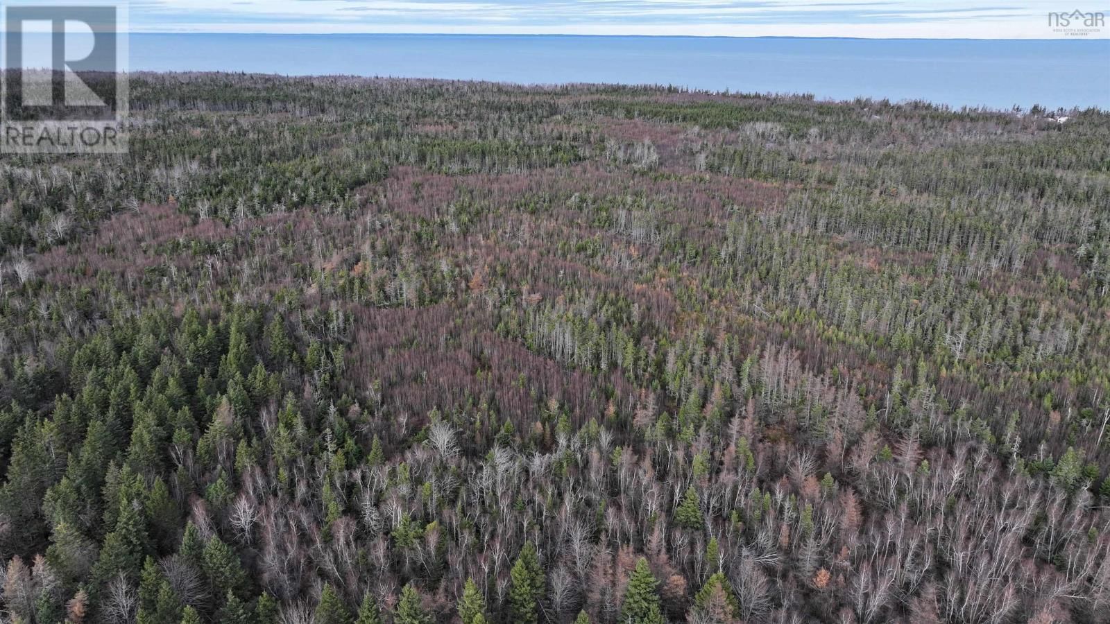 1659 FOX HARBOUR ROAD Image 20