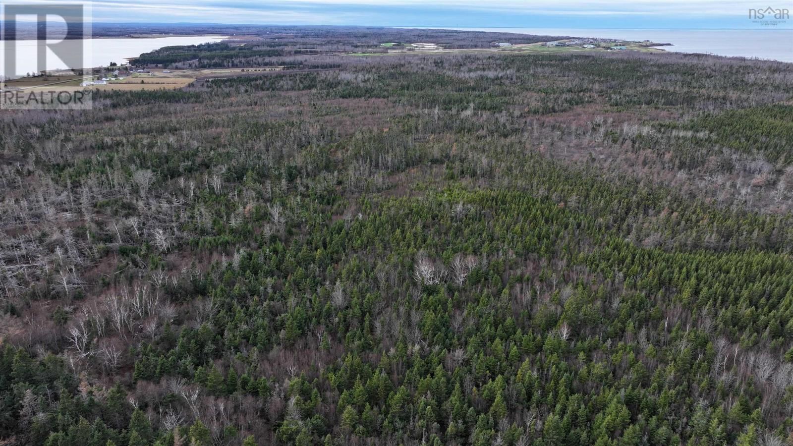 1659 FOX HARBOUR ROAD Image 37