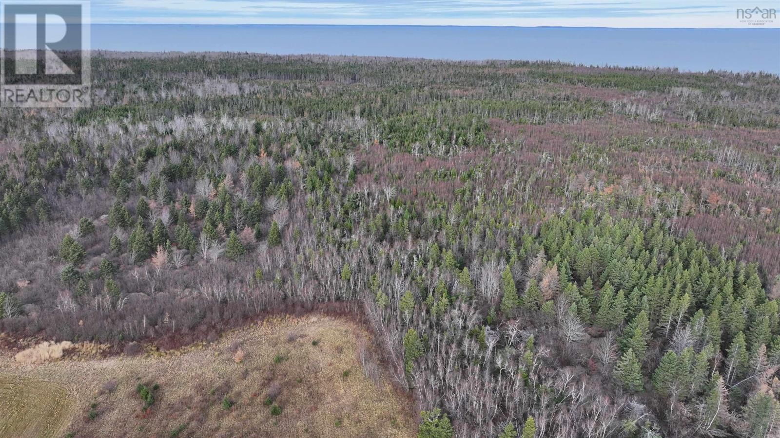 1659 FOX HARBOUR ROAD Image 43