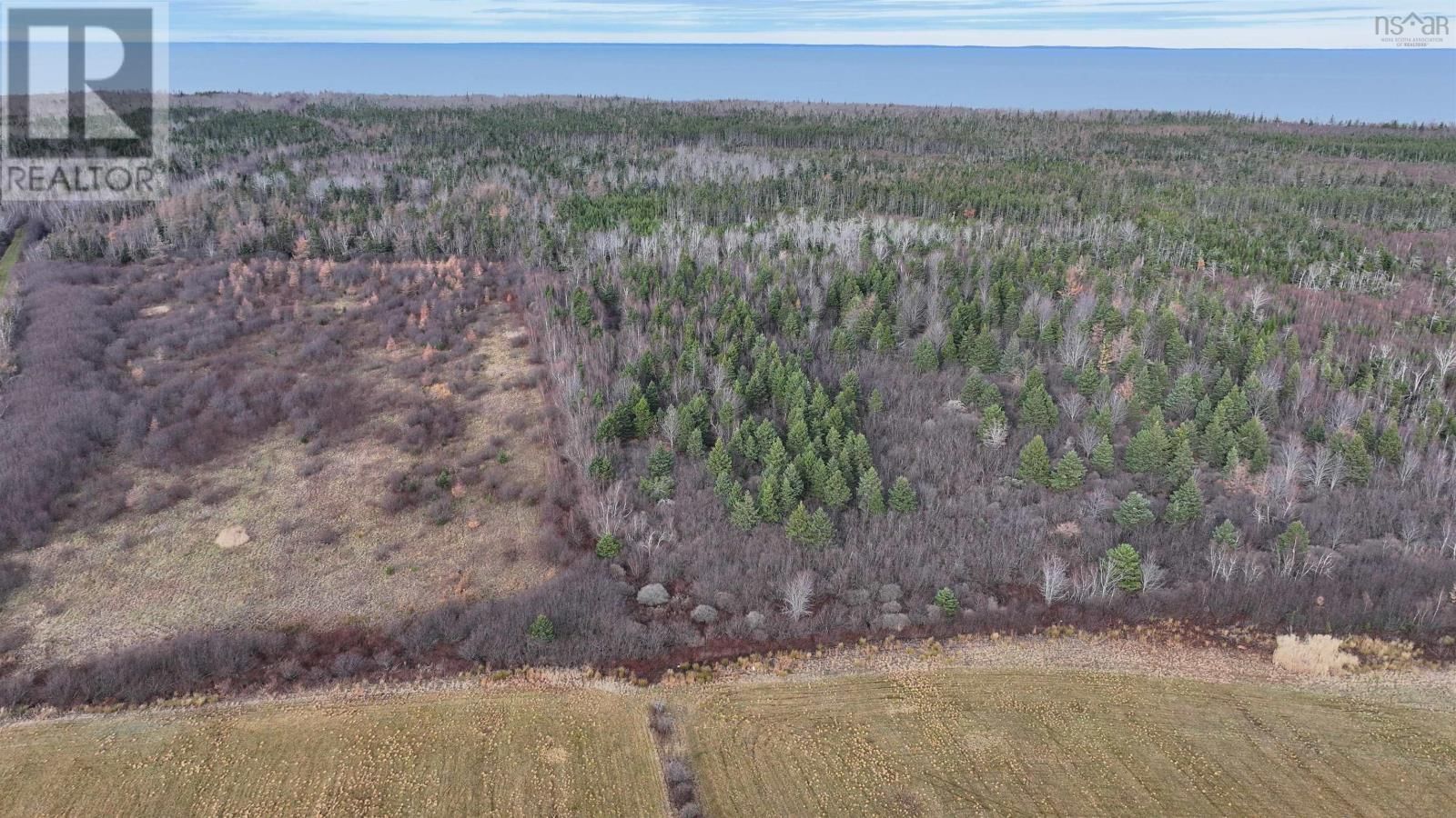 1659 FOX HARBOUR ROAD Image 45