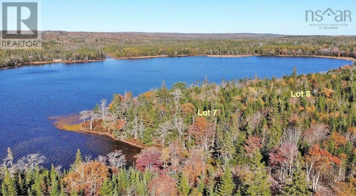 Primary Property View