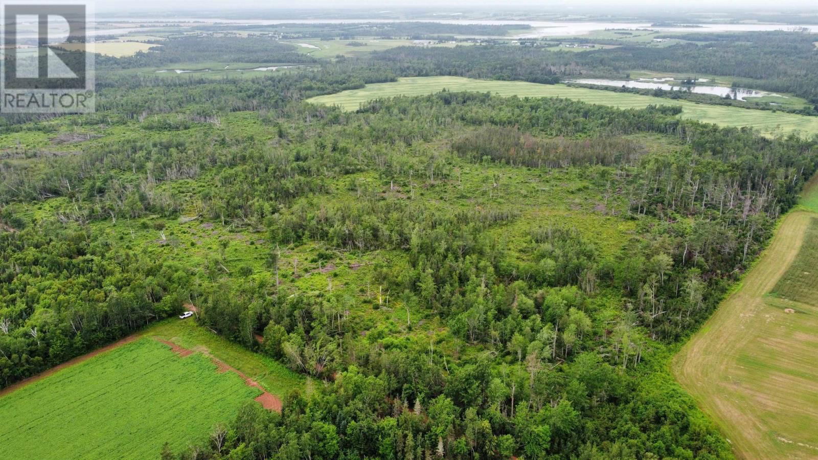 Primary Property View