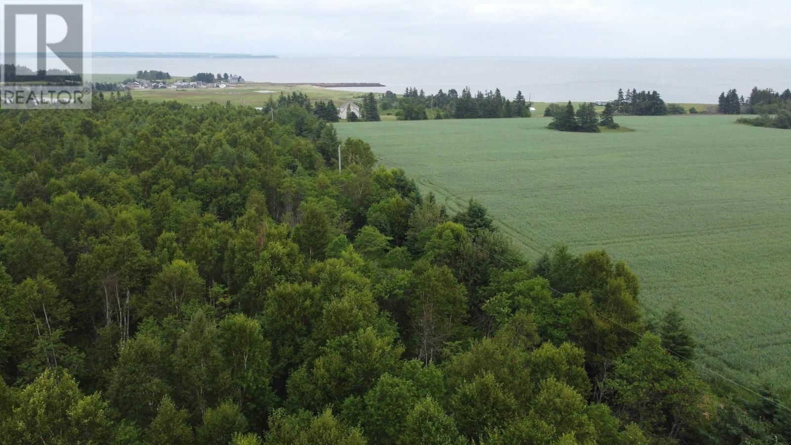 Primary Property View