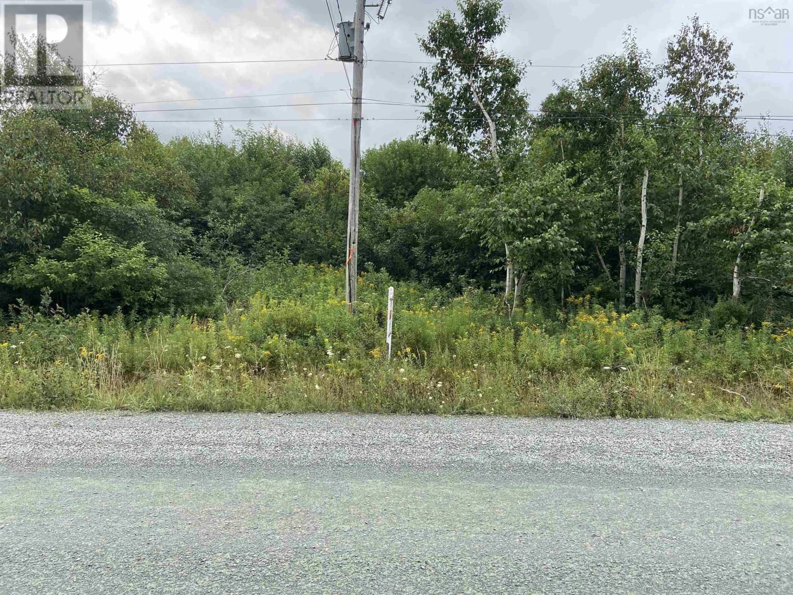 Primary Property View