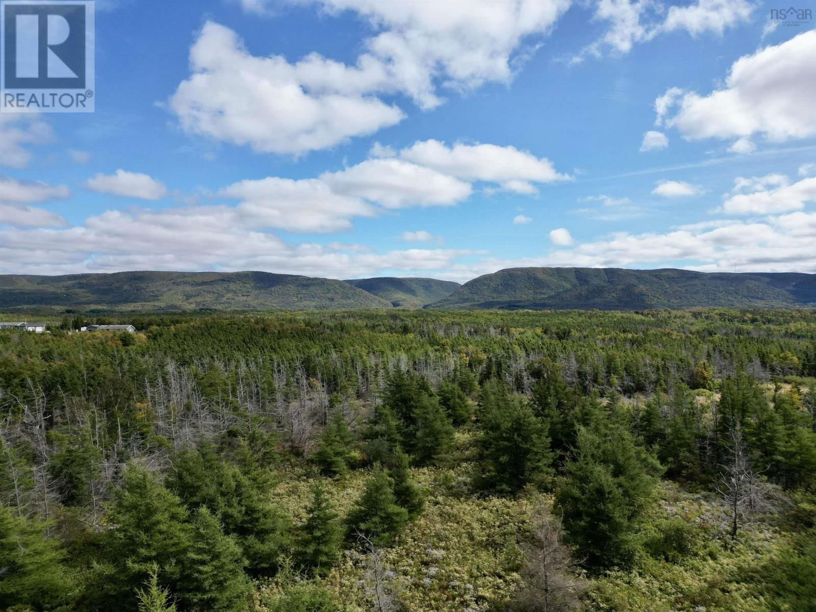 Primary Property View