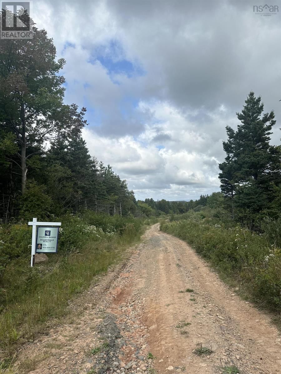 Primary Property View