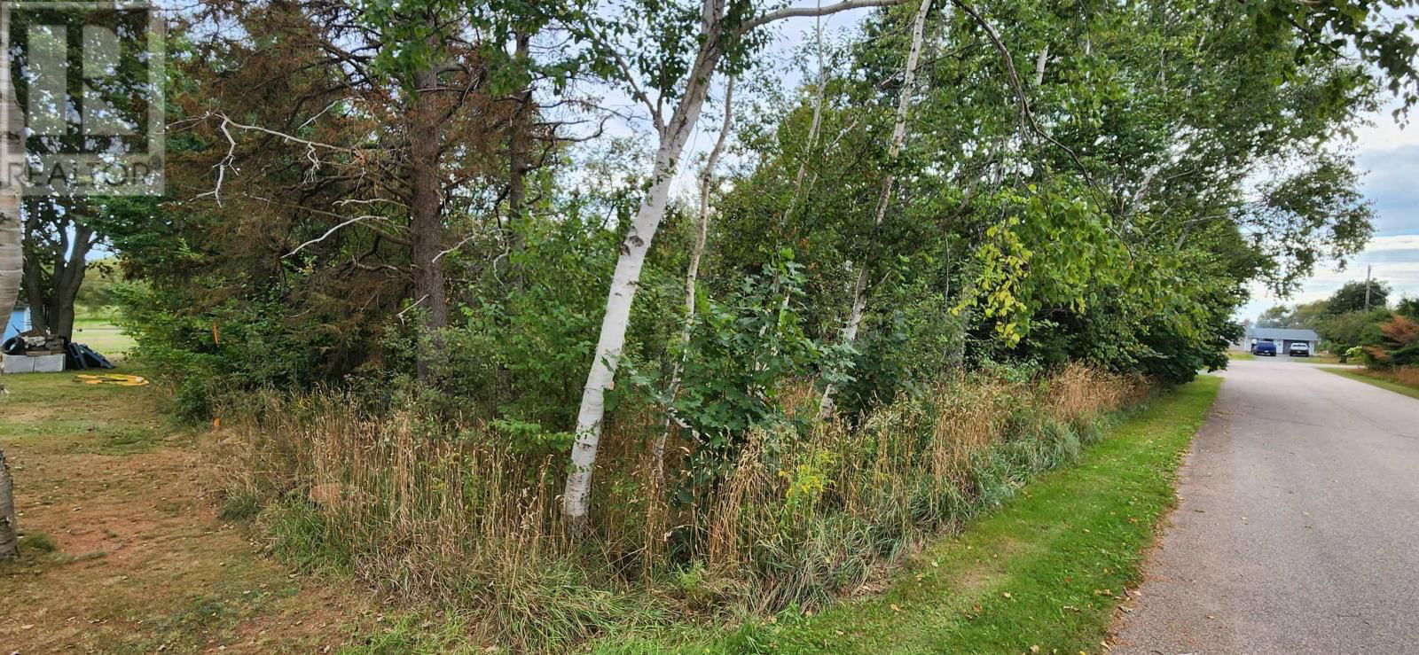 Primary Property View