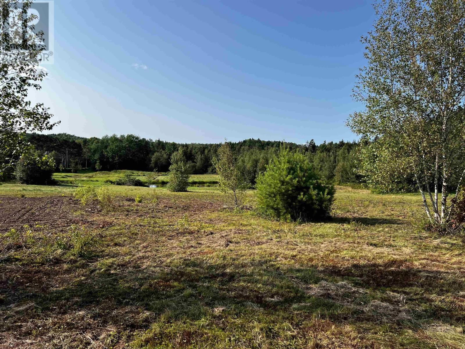Primary Property View