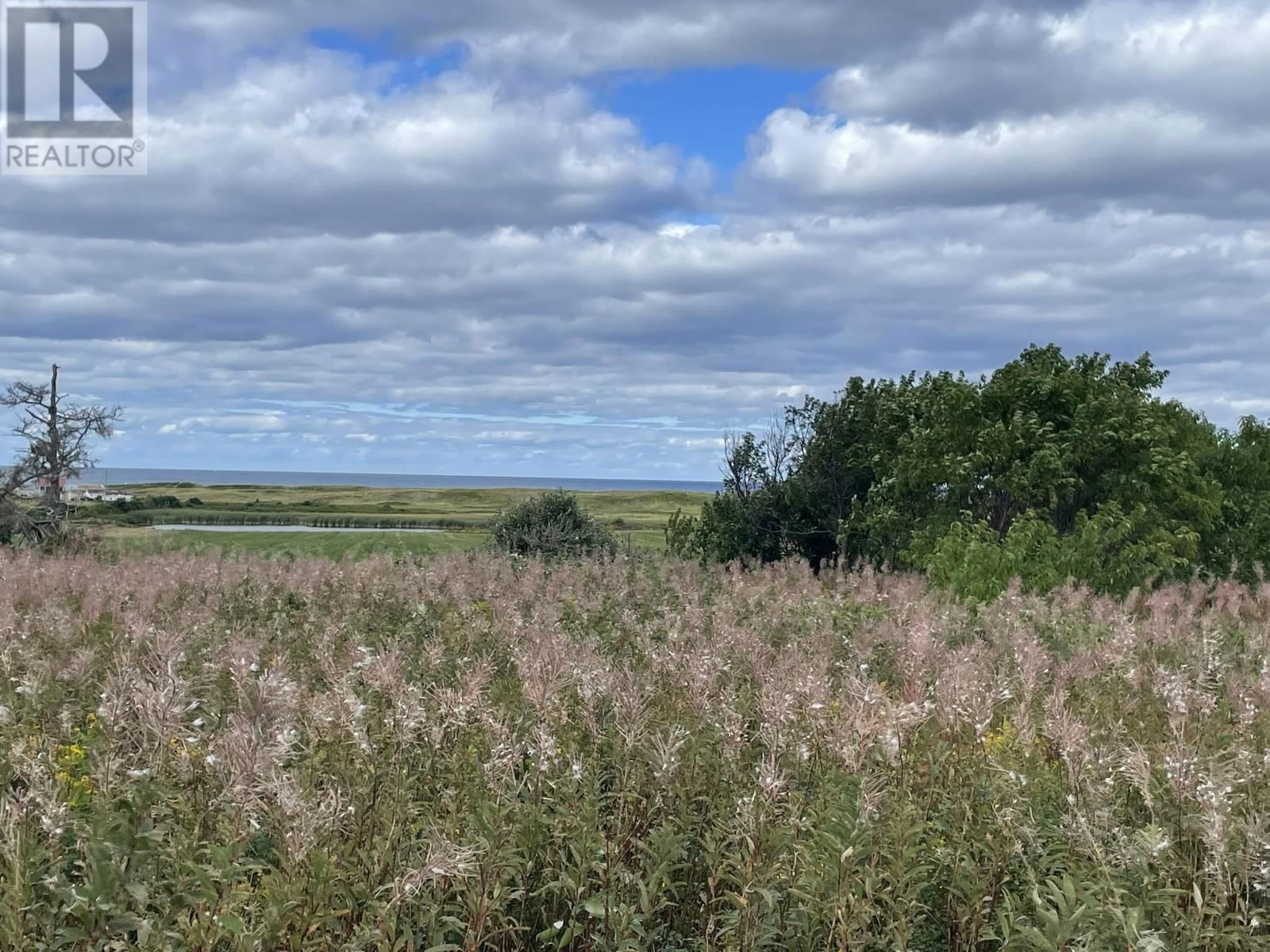 Primary Property View