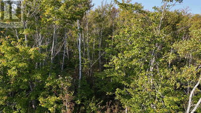 Commercial for Sale in Canada