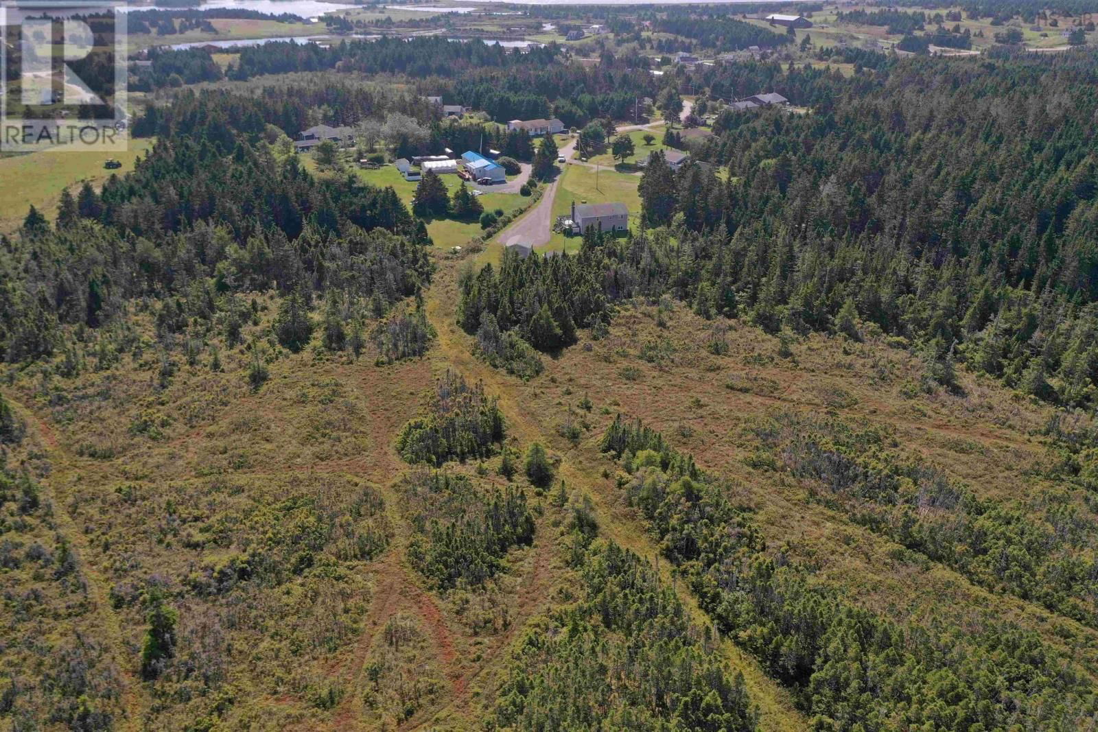 Primary Property View